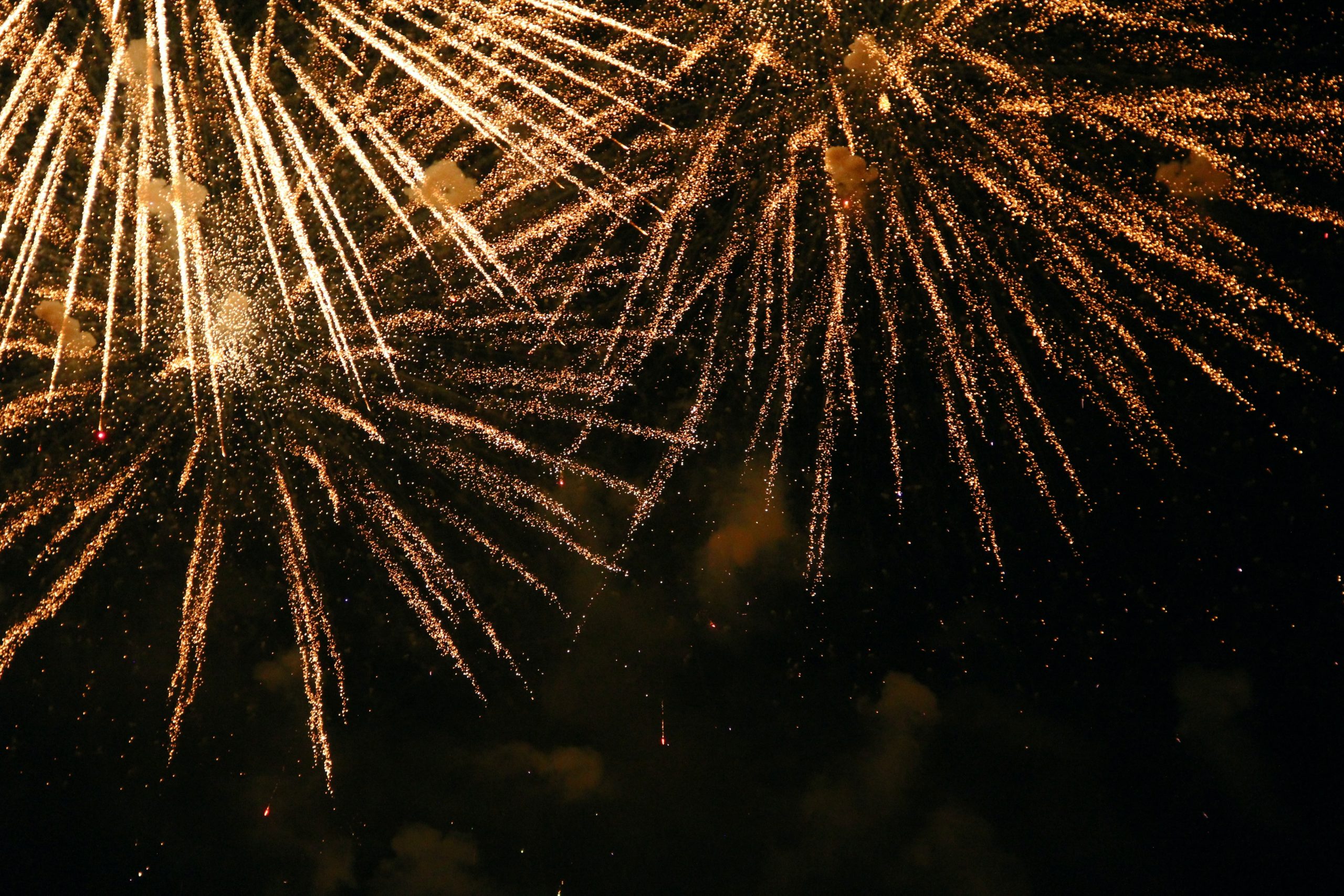 MetaCompliance Listed on Cardin Partners’ SaaS Quick 25 yiran yang 9mjJc2glpns unsplash