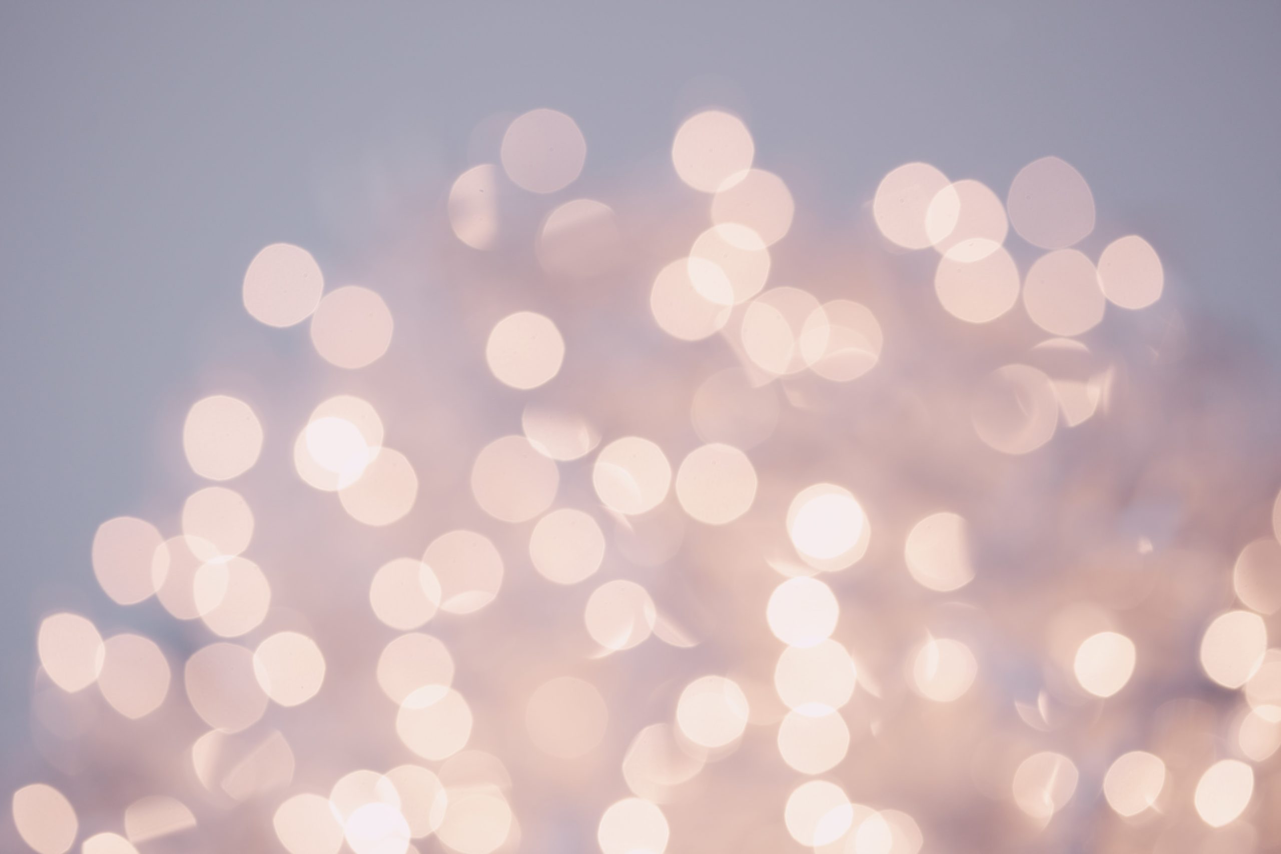 MetaCompliance nominated for two Tech Excellence Awards alexander grey 62vi3TG5EDg unsplash