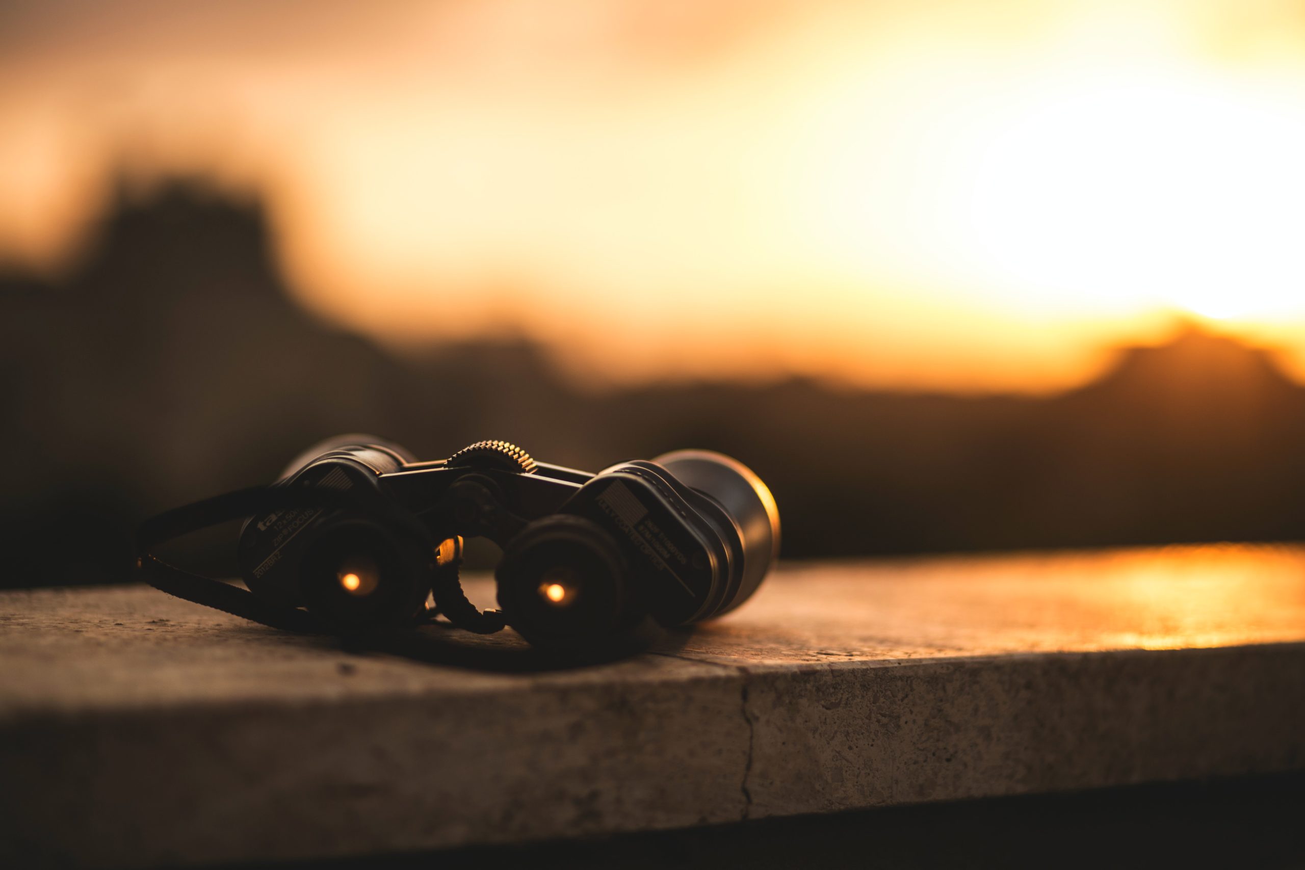 ran berkovich kSLNVacFehs unsplash ran berkovich kSLNVacFehs unsplash