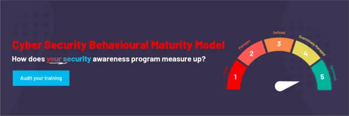 maturity model